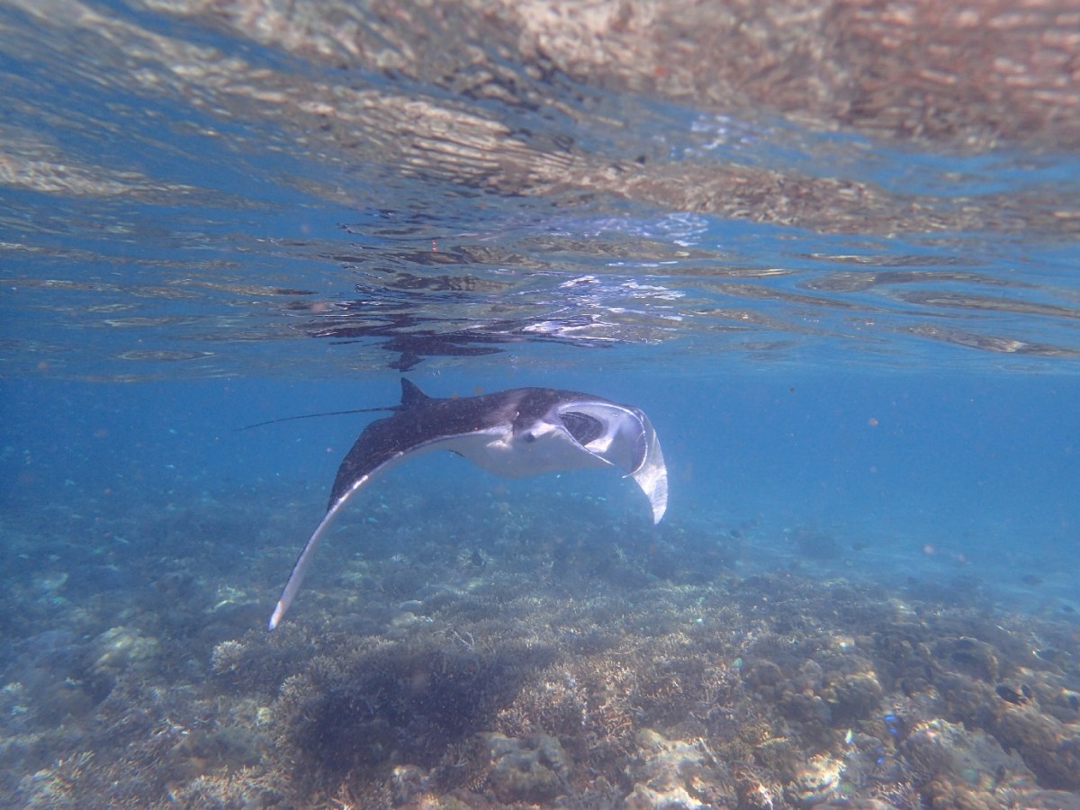 Lombok To Komodo: Day&nbsp;3