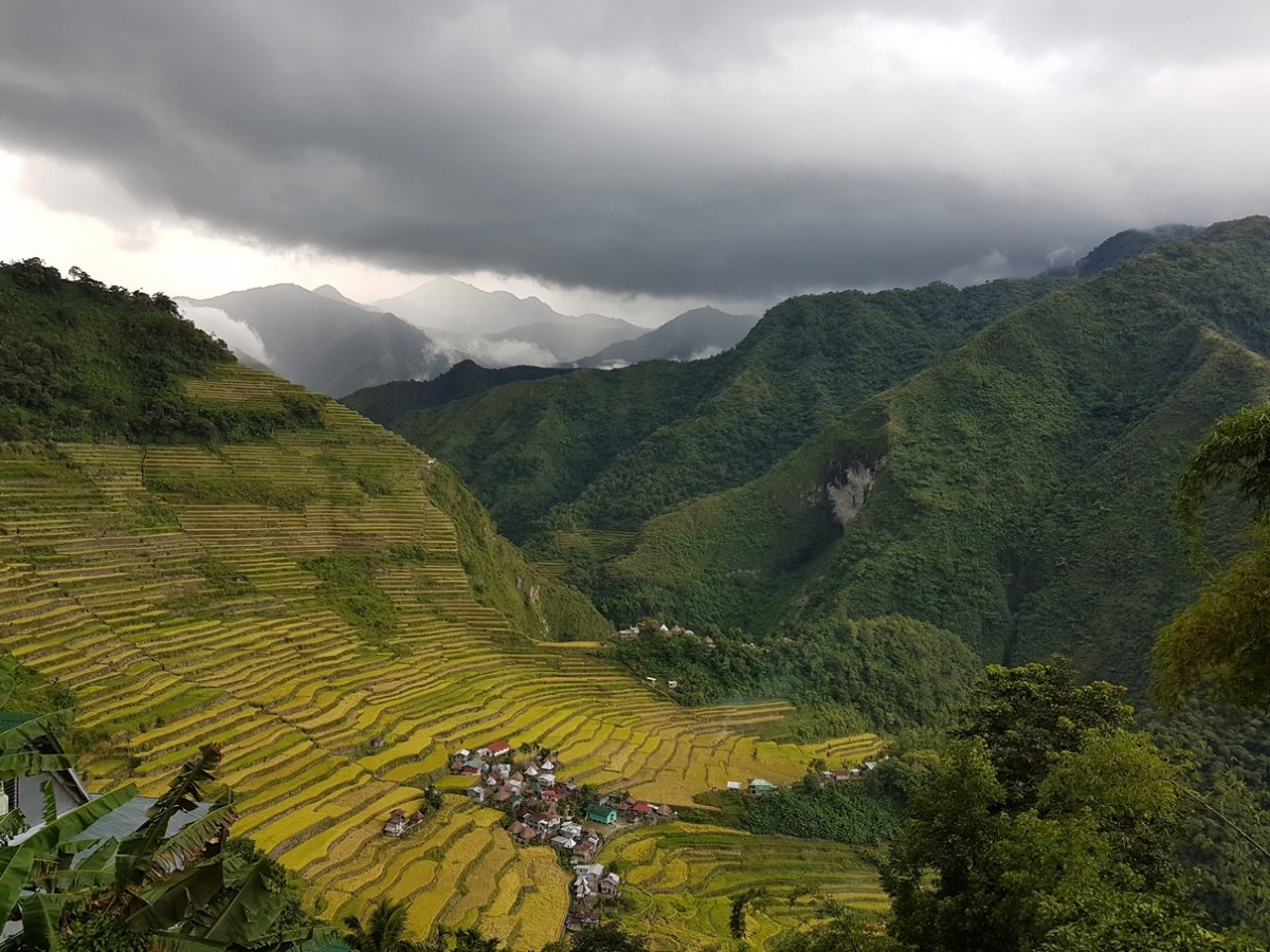 It’s Not All About The&nbsp;Rice