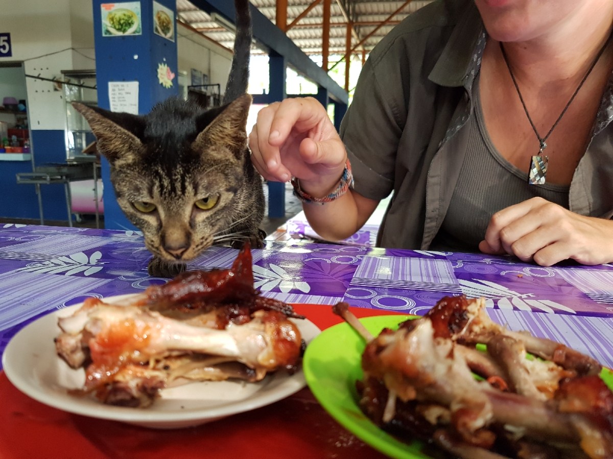 Adventures On A Tax-Free&nbsp;Island