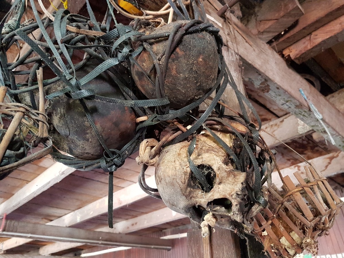 Longhouse Touring In&nbsp;Kapit