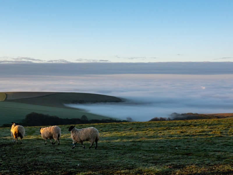 Day 2 – Firle(ish) to&nbsp;Pyecombe