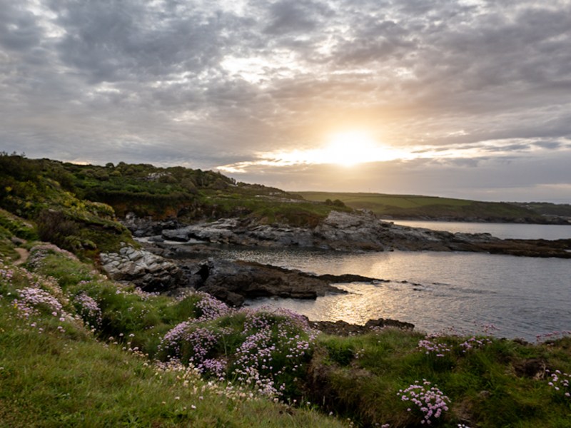 Day 41 – Prussia Cove to&nbsp;Penberth