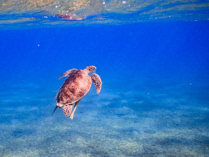 Chilling Out & Finishing&nbsp;Up