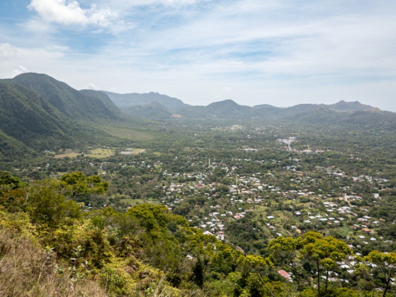 With Apologies To My&nbsp;Legs