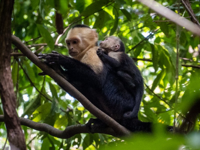 A Treasure Trove Of&nbsp;Nature