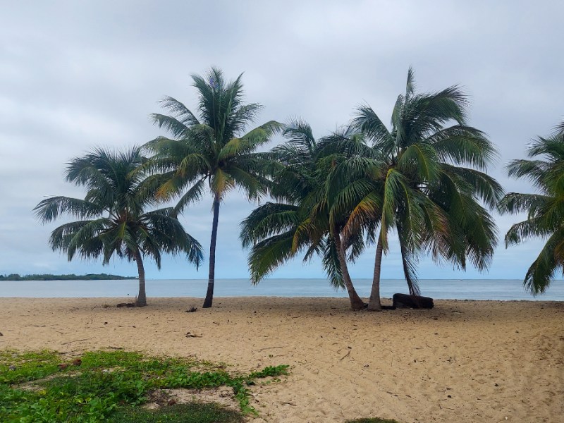 Definitely The Rainy Season&nbsp;Then